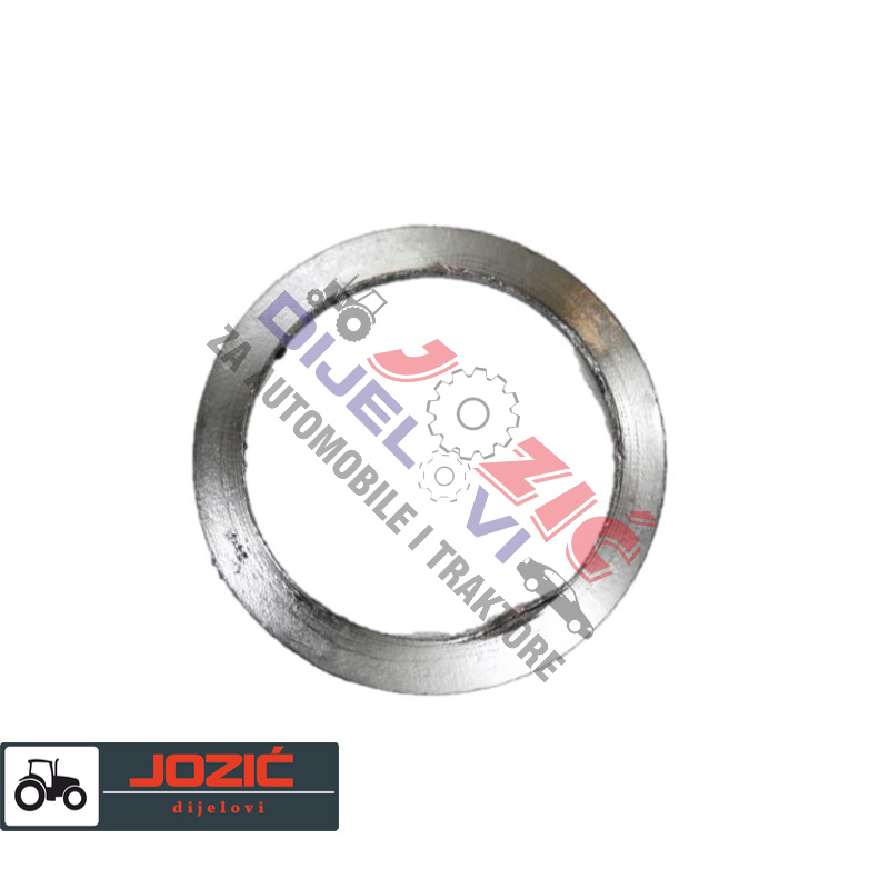 Daisy on the Ohoopee